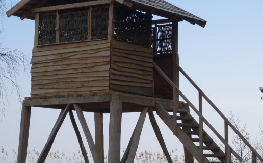 Stebejimo bokst (5)_r1.jpg